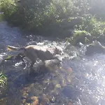 Roubenka Mlyn U Skaly Volne Terminy 5 Bytu * Destne v Orlickych horach