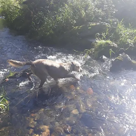 Roubenka Mlyn U Skaly Volne Terminy 5 Bytu * Destne v Orlickych horach