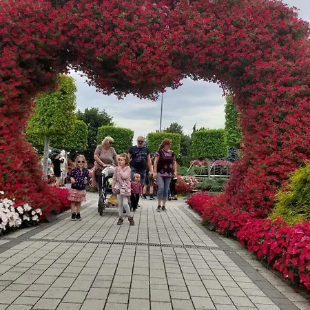 Roubenka Mlyn U Skaly Volne Terminy 5 Bytu Lägenhet *