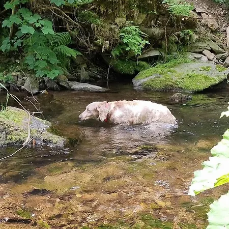 Roubenka Mlyn U Skaly Volne Terminy 5 Bytu Lägenhet
