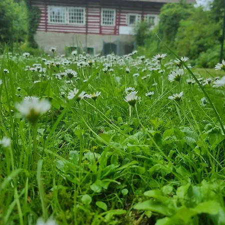 Roubenka Mlyn U Skaly Volne Terminy 5 Bytu Destne v Orlickych horach
