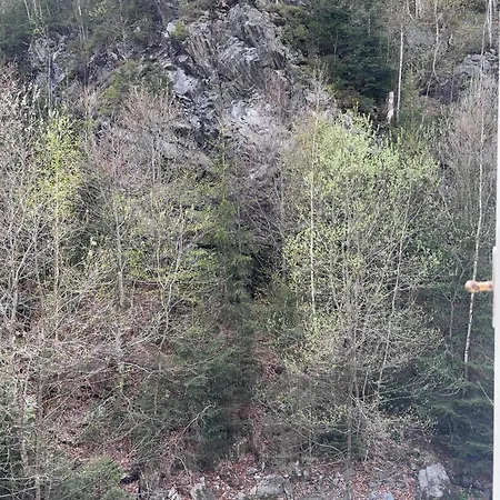 Lägenhet Roubenka Mlyn U Skaly Volne Terminy 5 Bytu *
